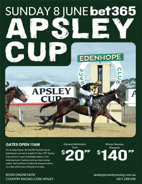Apsley Cup.png
