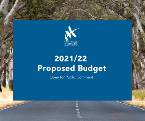 Proposed Budget 2021 22.png