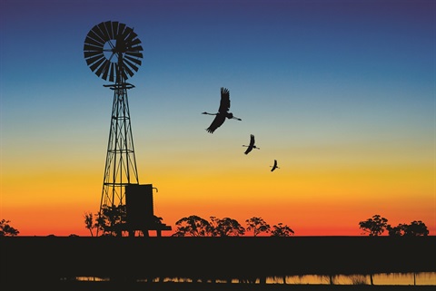 WWSC-Windmill-Sunset-Birds.jpg